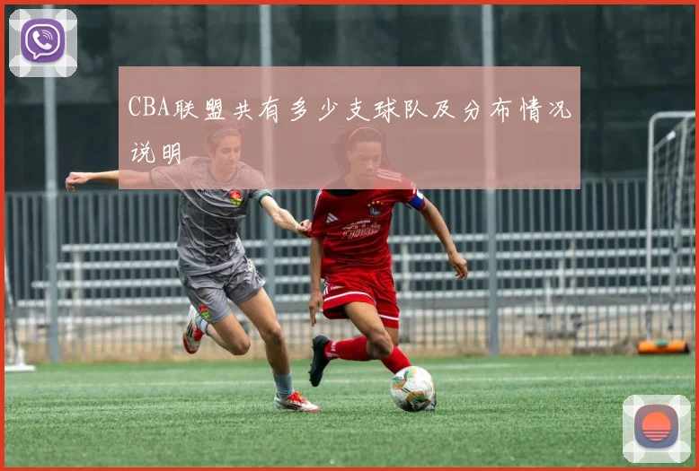 CBA联盟共有多少支球队及分布情况说明